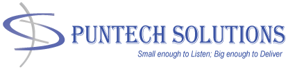 PunTech Solutions Logo
